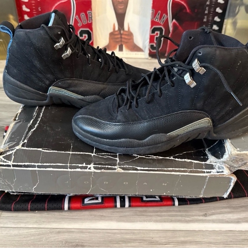 Size 10.5 - Air Jordan 12 Retro 2009 Nubuck
